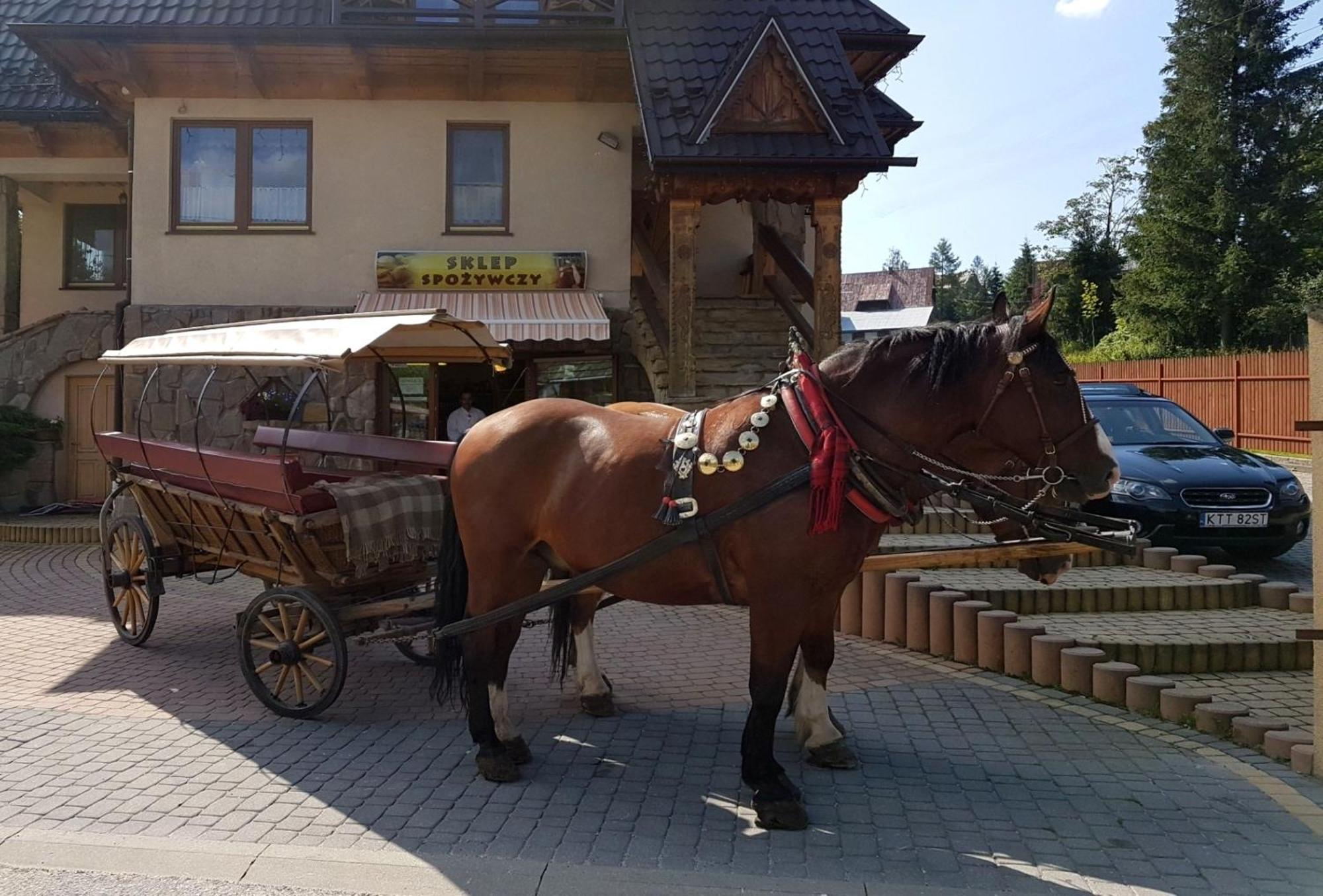 Pokoje Goscinne Pod Giewontem Zakopane Luaran gambar